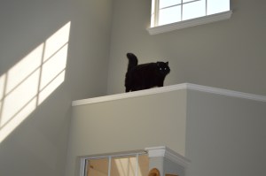 ?????????????????????????????????????