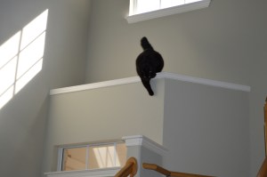 ?????????????????????