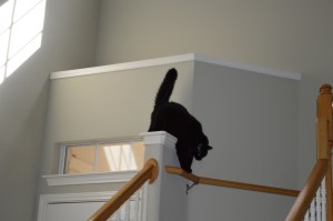 ????????????????????????????????