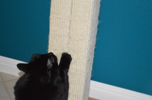 ?????????????????????????????