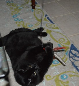 ??????????????????????????????????????????????????????????