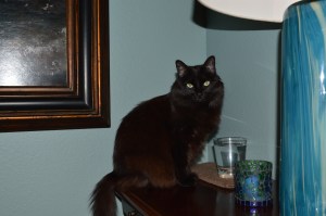 ????????????????????????????????????????????