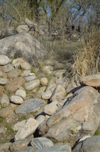 Can you spot the gopher in this photo?