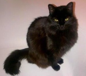 Sally Posing On White (Bath Tub)