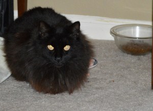 Sophie Shortly After Beginning Her New Life of Leisure