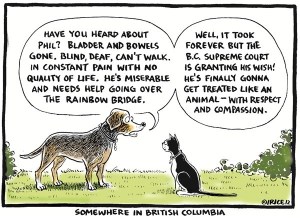 Assisted Suicide by Political Cartoonist Ingrid Rice