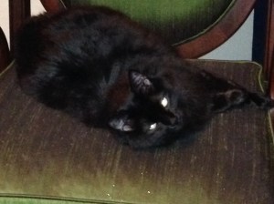 Is the bolognese done yet?