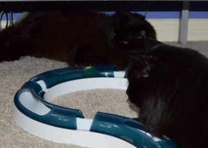 Passing the ball back and forth in the chute