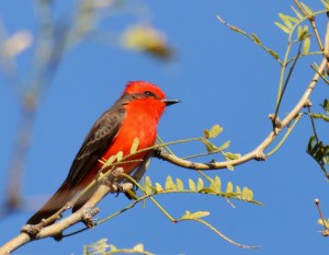 I could not believe my luck,