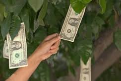 Behold The $44,000 Cable TV Tree