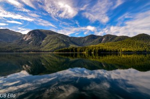 Reflections---Great Bear Rainforest