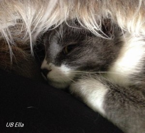 Snuggled up against my leg