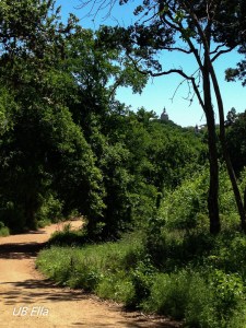 See the Texas Capitol peeking out at the top of the tree-line?